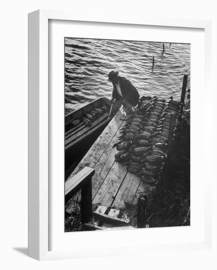 Duck Hunter Frank Freudenberg Loading Decoys for Ducks at Dawn-null-Framed Photographic Print