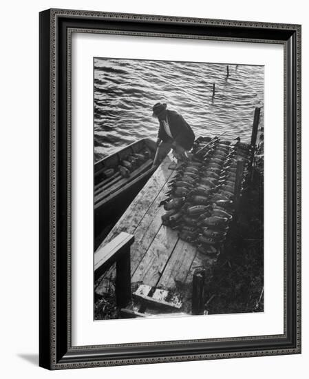 Duck Hunter Frank Freudenberg Loading Decoys for Ducks at Dawn-null-Framed Photographic Print