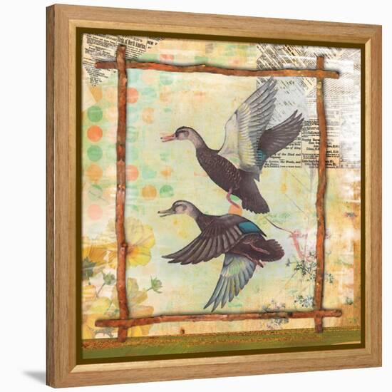 Duck Nature-Walter Robertson-Framed Stretched Canvas