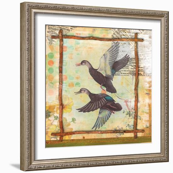 Duck Nature-Walter Robertson-Framed Art Print