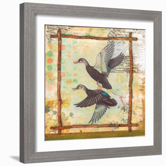 Duck Nature-Walter Robertson-Framed Art Print