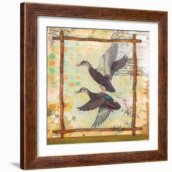 Duck Nature-Walter Robertson-Framed Art Print