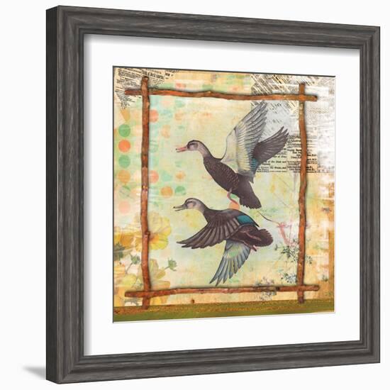 Duck Nature-Walter Robertson-Framed Art Print