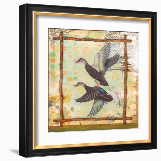 Duck Nature-Walter Robertson-Framed Art Print