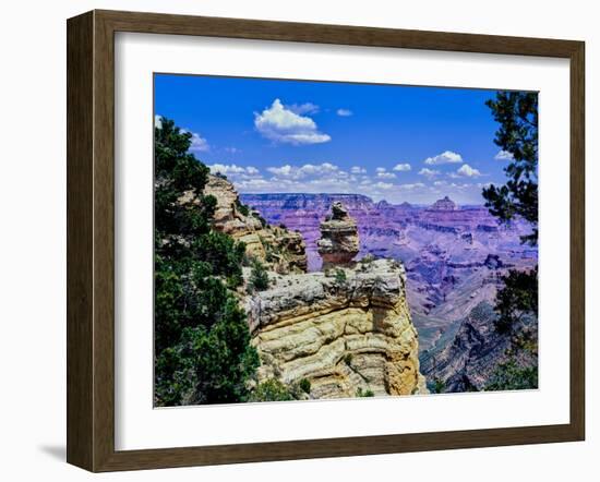 Duck-on-a-rock, East Rim Drive, South Rom, Grand Canyon National Park, Arizona, USA-null-Framed Photographic Print