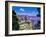 Duck-on-a-rock, East Rim Drive, South Rom, Grand Canyon National Park, Arizona, USA-null-Framed Photographic Print