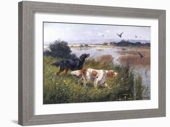 Duck Rising-Eugene Petit-Framed Giclee Print