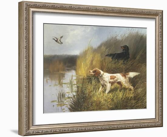 Duck Rising-Eugene Petit-Framed Giclee Print