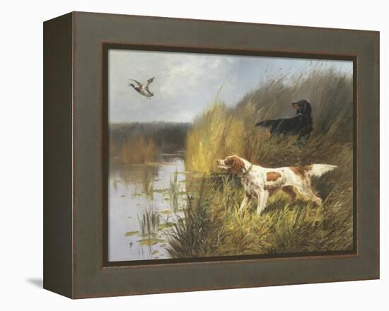 Duck Rising-Eugene Petit-Framed Premier Image Canvas