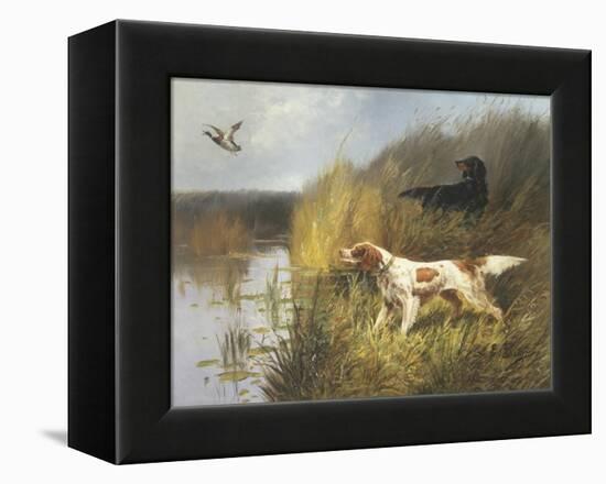 Duck Rising-Eugene Petit-Framed Premier Image Canvas