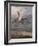 Duck Rising-Archibald Thorburn-Framed Giclee Print