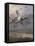 Duck Rising-Archibald Thorburn-Framed Premier Image Canvas