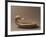 Duck-Shaped Ivory Cosmetic Case Artefact from Egyptian Port of Ugarit, or Ras Shamra, Syria-null-Framed Giclee Print