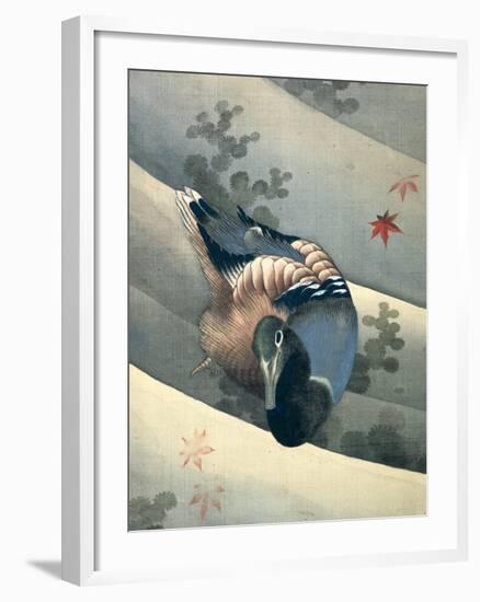 Duck Swimming in Water, 1847-Katsushika Hokusai-Framed Giclee Print
