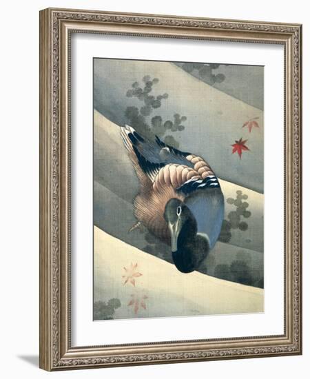 Duck Swimming in Water, 1847-Katsushika Hokusai-Framed Giclee Print