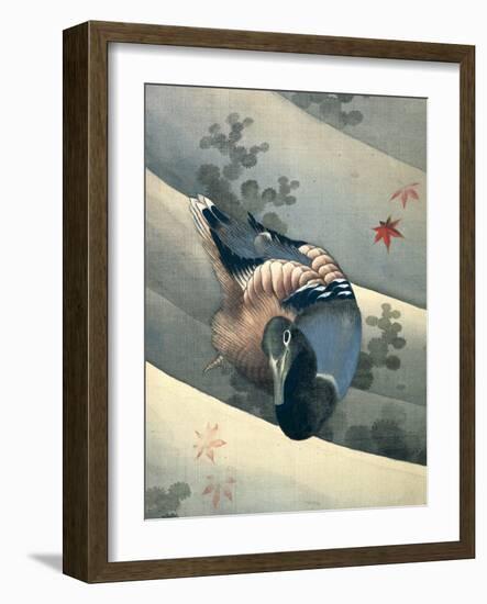 Duck Swimming in Water, 1847-Katsushika Hokusai-Framed Giclee Print