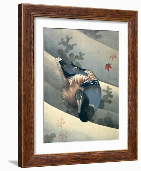 Duck Swimming in Water, 1847-Katsushika Hokusai-Framed Giclee Print