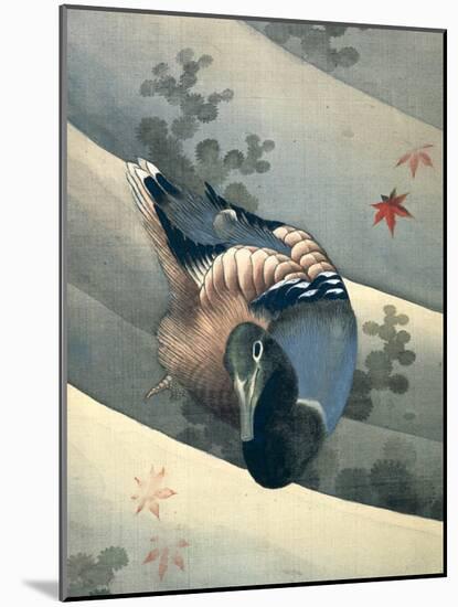 Duck Swimming in Water, 1847-Katsushika Hokusai-Mounted Giclee Print