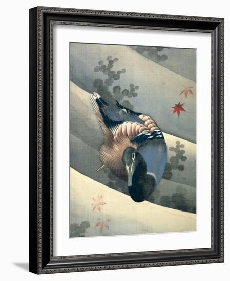 Duck Swimming in Water, 1847-Katsushika Hokusai-Framed Giclee Print