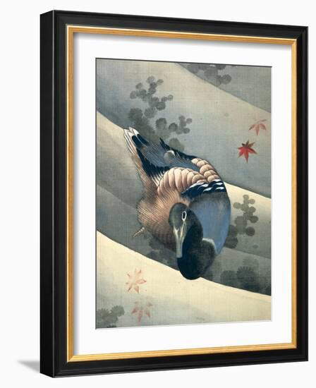 Duck Swimming in Water, 1847-Katsushika Hokusai-Framed Giclee Print