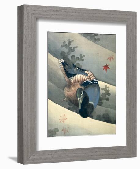 Duck Swimming in Water, 1847-Katsushika Hokusai-Framed Giclee Print