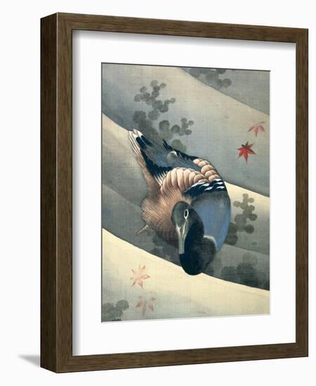 Duck Swimming in Water, 1847-Katsushika Hokusai-Framed Giclee Print