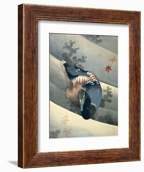 Duck Swimming in Water, 1847-Katsushika Hokusai-Framed Giclee Print