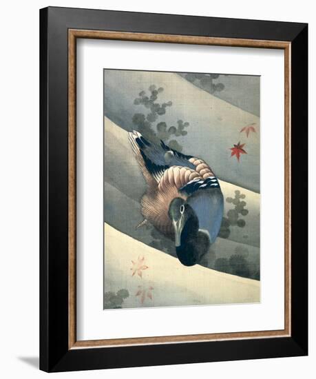 Duck Swimming in Water, 1847-Katsushika Hokusai-Framed Giclee Print