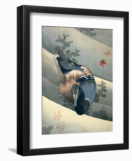 Duck Swimming in Water, 1847-Katsushika Hokusai-Framed Giclee Print