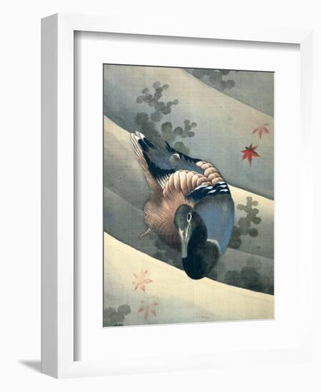 Duck Swimming in Water, 1847-Katsushika Hokusai-Framed Giclee Print