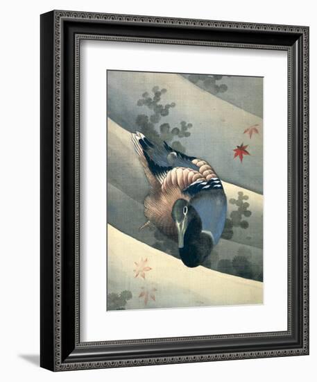 Duck Swimming in Water, 1847-Katsushika Hokusai-Framed Giclee Print