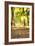 Duck Walk-Karyn Millet-Framed Photographic Print