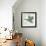 Duck-Teofilo Olivieri-Framed Giclee Print displayed on a wall