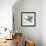 Duck-Teofilo Olivieri-Framed Giclee Print displayed on a wall