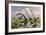 Duckbill Dinosaurs and Large Sauropods Share a Feeding Ground-null-Framed Premium Giclee Print