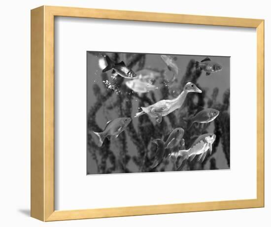 Duckling Swims Underwater Among Goldfish-Jane Burton-Framed Premium Photographic Print