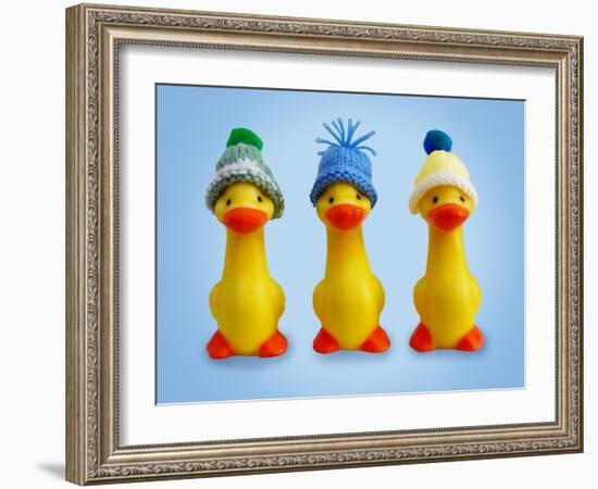 Ducklings in Woolly Hats-null-Framed Photographic Print