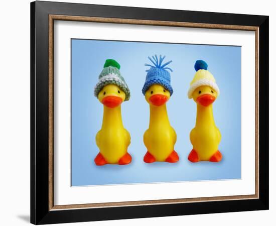 Ducklings in Woolly Hats-null-Framed Photographic Print