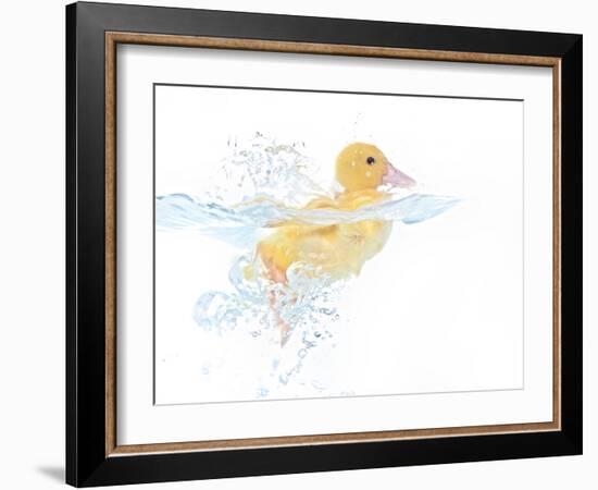 Ducks 001-Andrea Mascitti-Framed Photographic Print