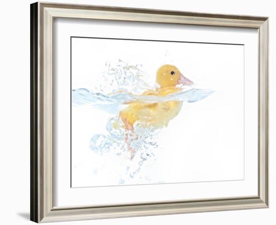 Ducks 001-Andrea Mascitti-Framed Photographic Print