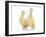 Ducks 010-Andrea Mascitti-Framed Photographic Print