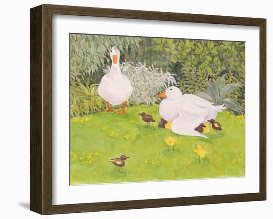 Ducks and Ducklings-Linda Benton-Framed Giclee Print