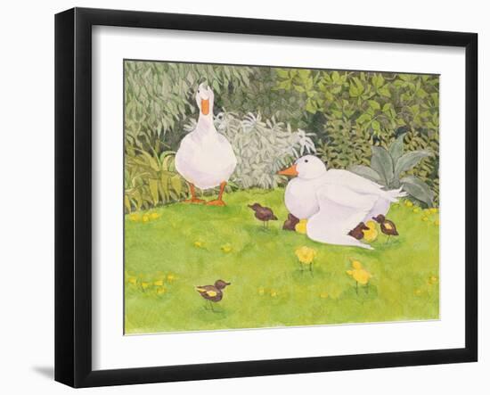 Ducks and Ducklings-Linda Benton-Framed Giclee Print