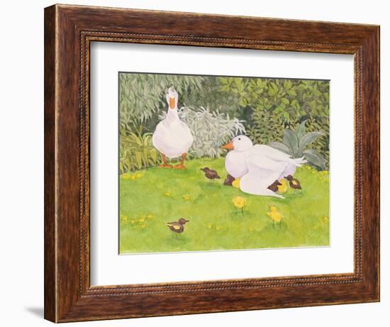 Ducks and Ducklings-Linda Benton-Framed Giclee Print