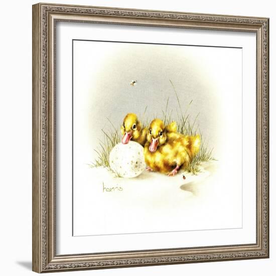 Ducks and Egg-Peggy Harris-Framed Giclee Print