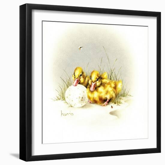 Ducks and Egg-Peggy Harris-Framed Giclee Print