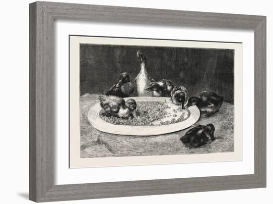 Ducks and Green Peas, 1876 Picture-John Charles Dollman-Framed Giclee Print