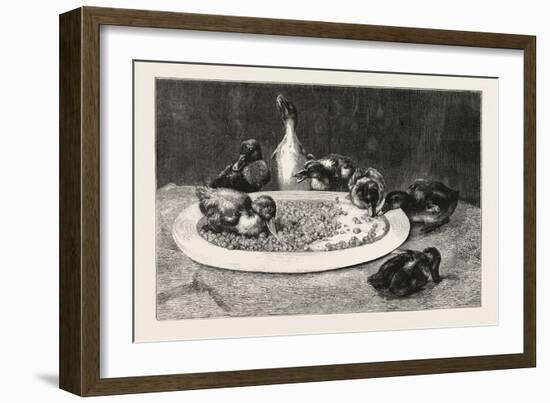 Ducks and Green Peas, 1876 Picture-John Charles Dollman-Framed Giclee Print