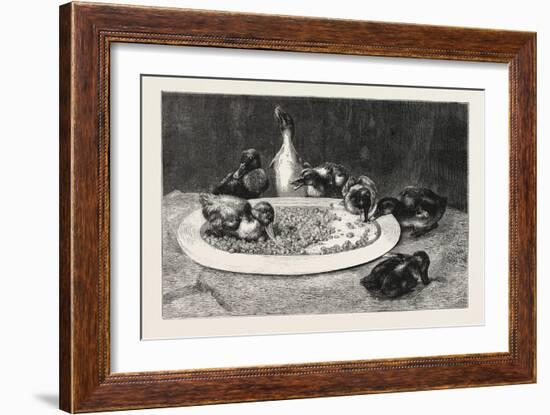Ducks and Green Peas, 1876 Picture-John Charles Dollman-Framed Giclee Print