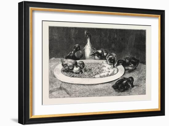 Ducks and Green Peas, 1876 Picture-John Charles Dollman-Framed Giclee Print